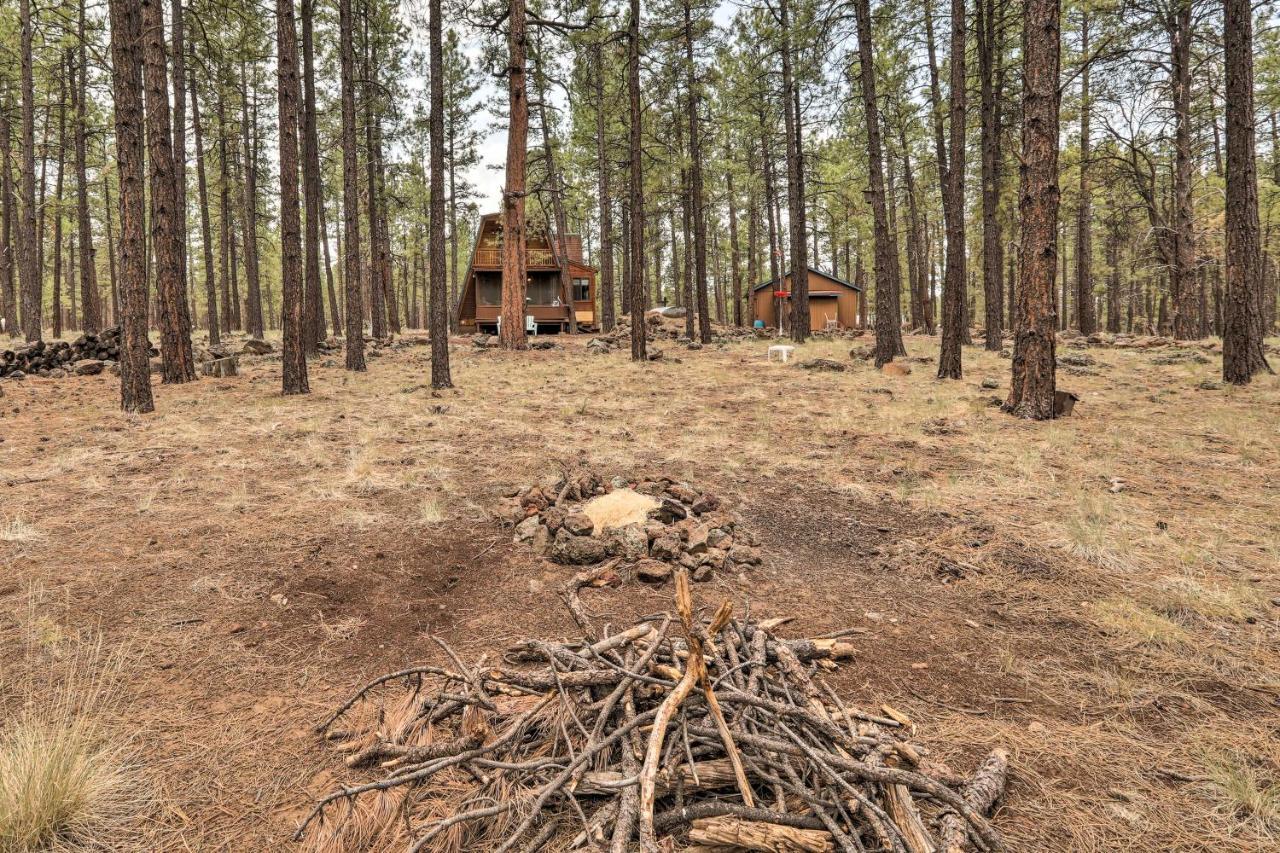 Cozy Cabin By Grand Canyon, Near National Forest Williams Eksteriør billede